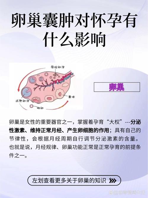  受孕影响