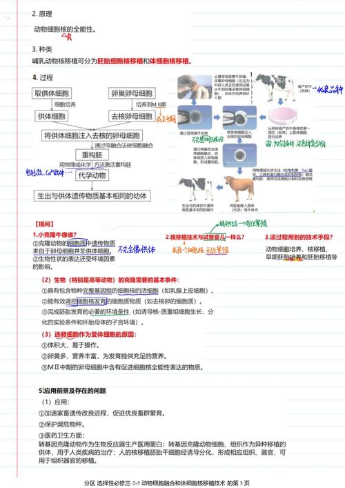 核移植技术