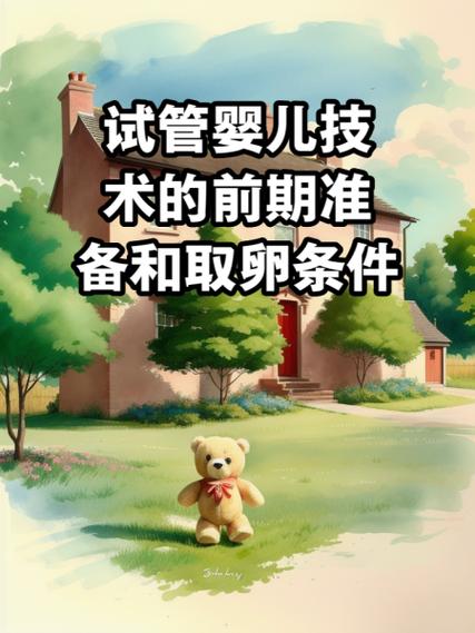 试管婴儿实施