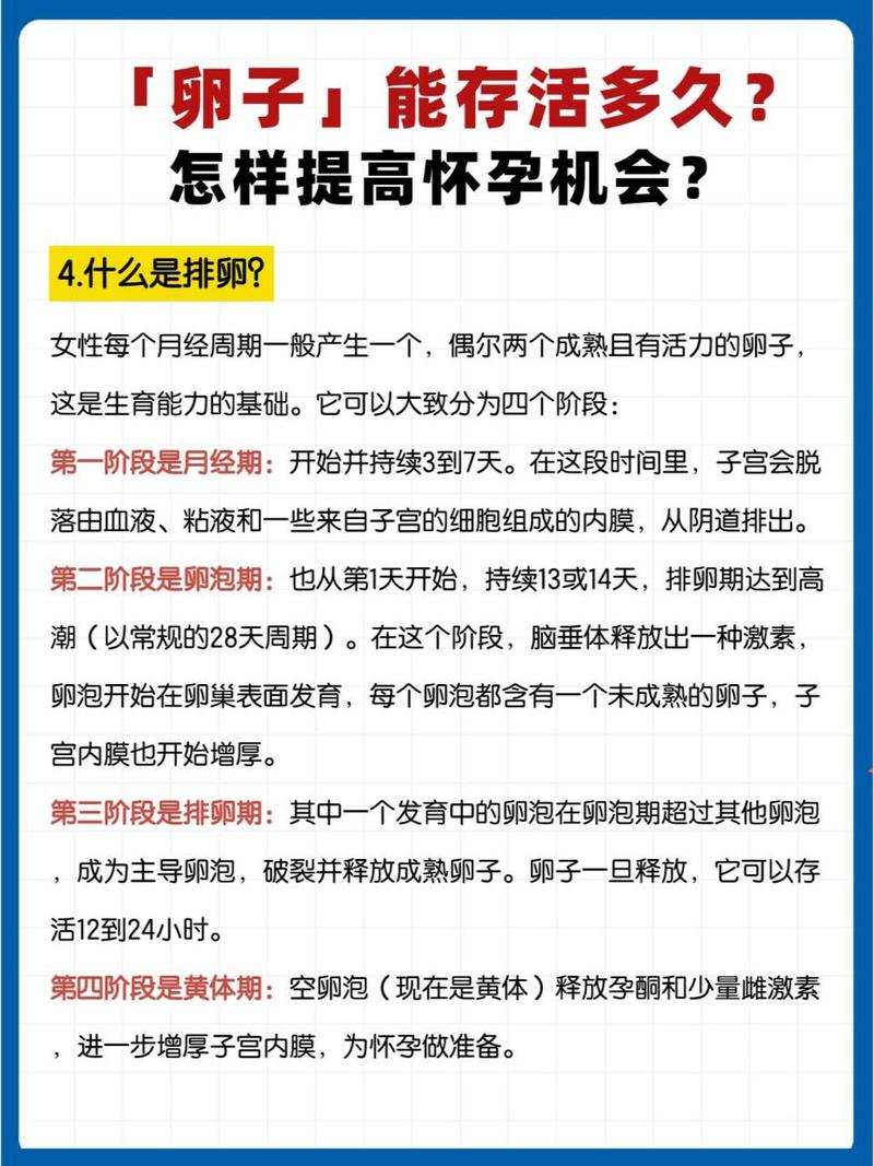 卵子保存注意事项