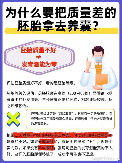 囊胚养护