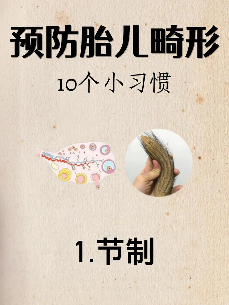 预防胎儿畸形