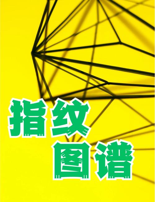  用药指纹