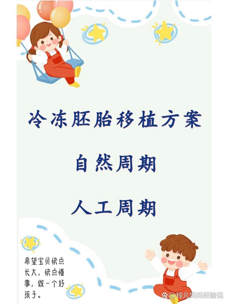 胚胎方案
