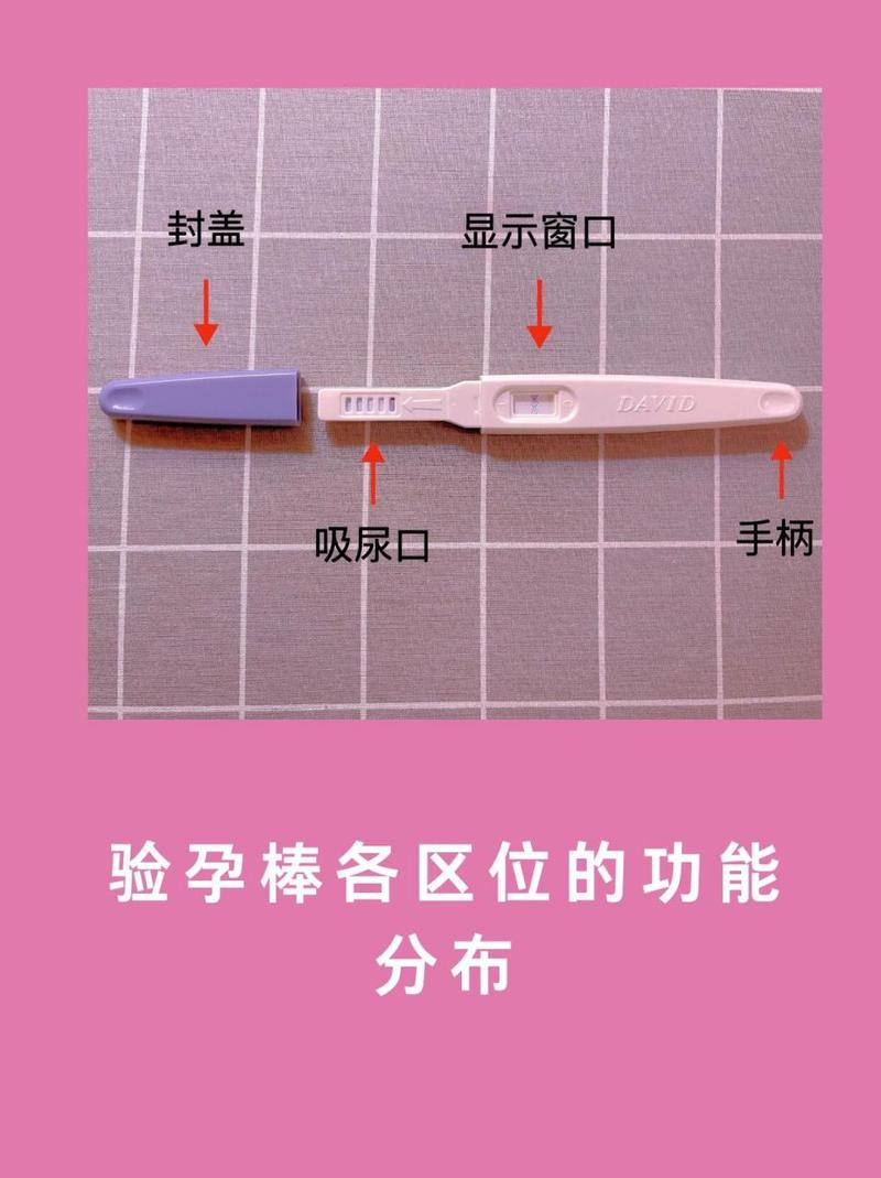 验孕方式