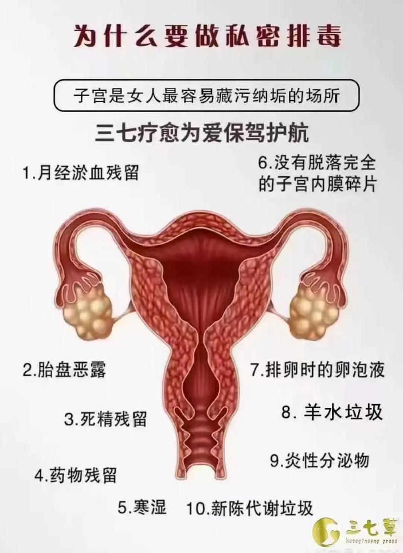 生殖营养