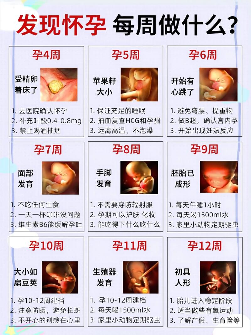 孕周管理
