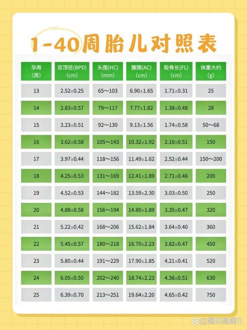 胚胎数据