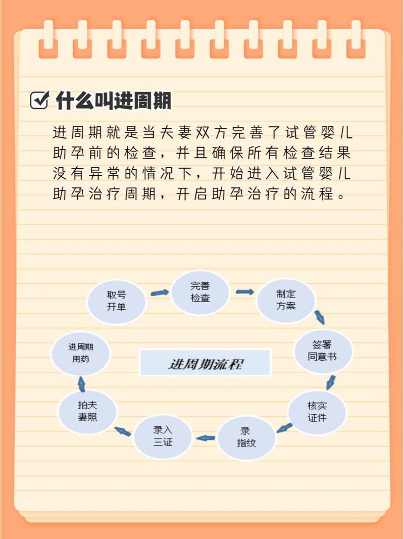 试管周期