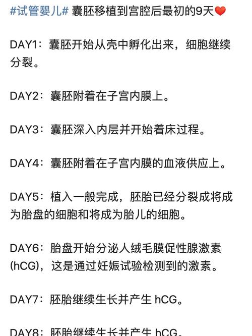 移植第一天