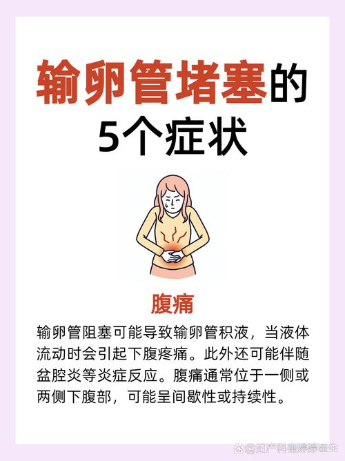 半边输卵管堵塞