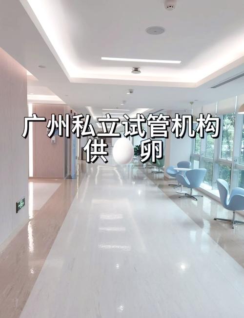  广州试管咨询