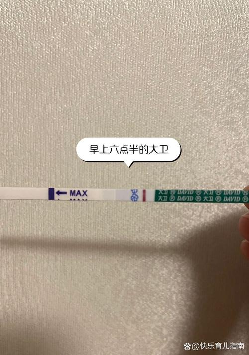 移植当天