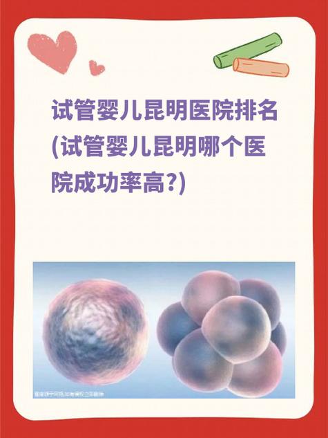 昆明试管婴儿一代