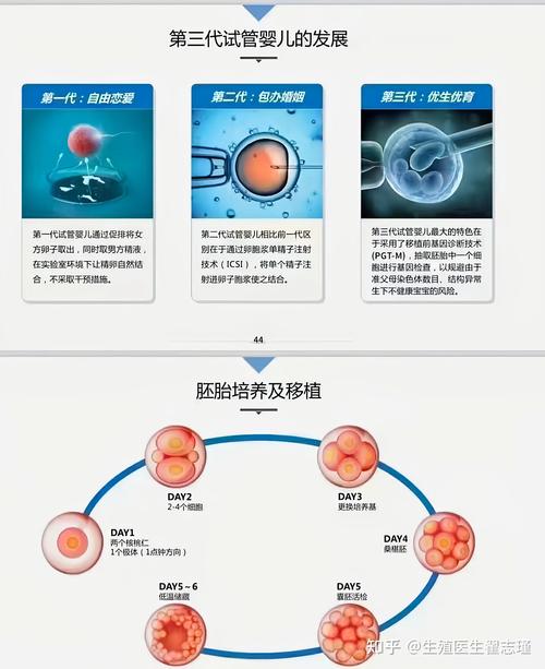 天羽三代试管婴儿技术