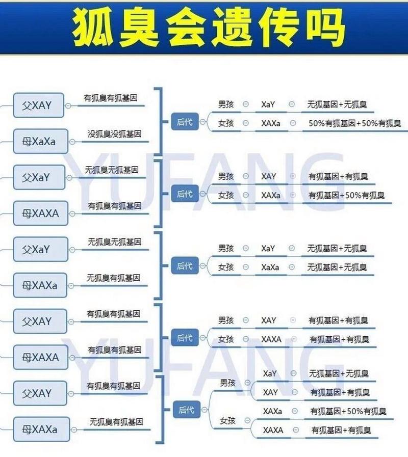 狐臭遗传