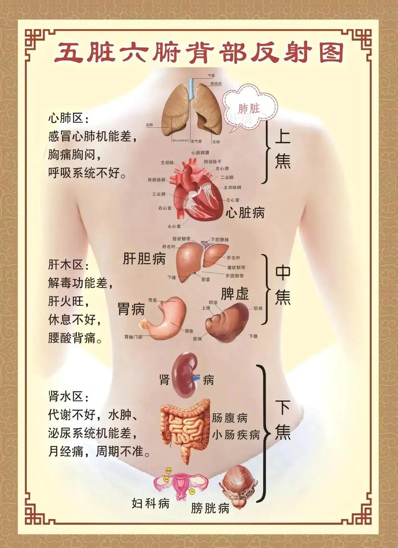 身体调节