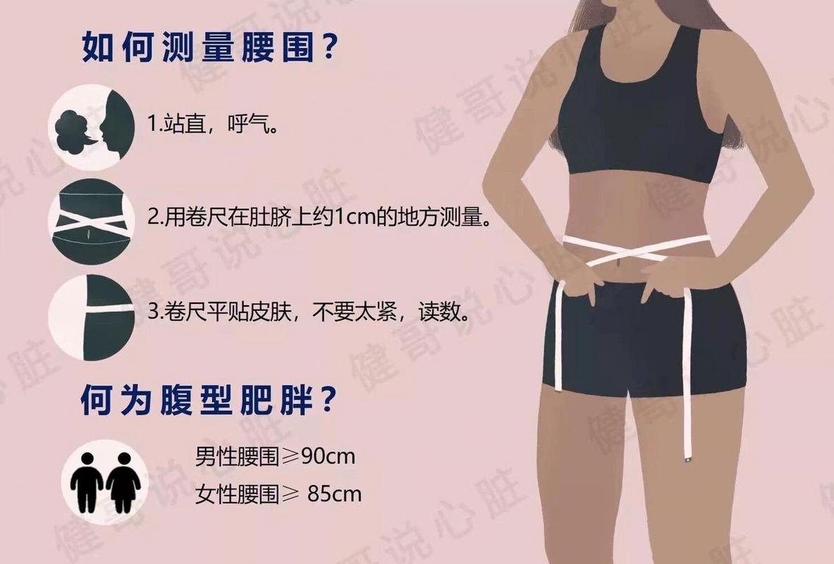  腹围