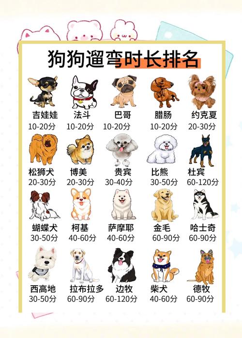 遛弯注意事项