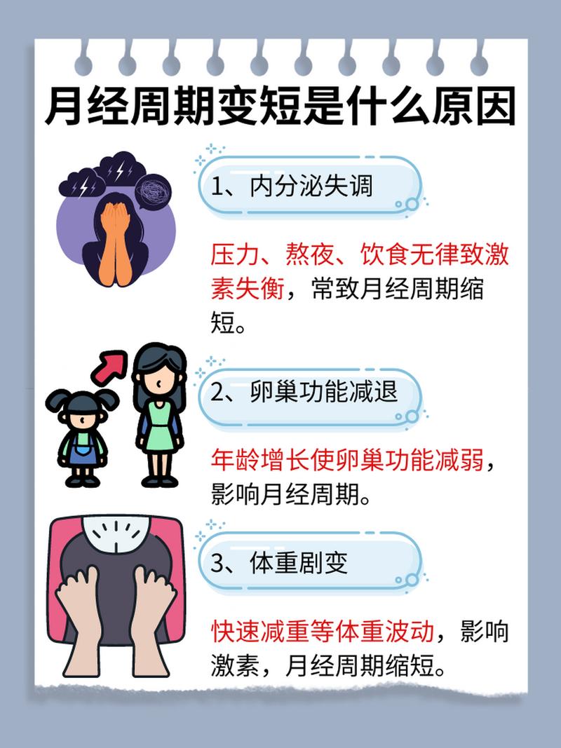  月经缩短