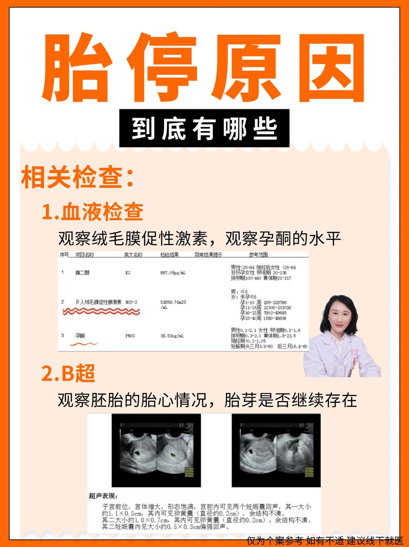 生化胎停