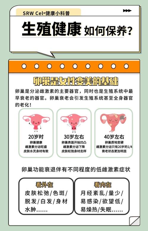 卵巢因素