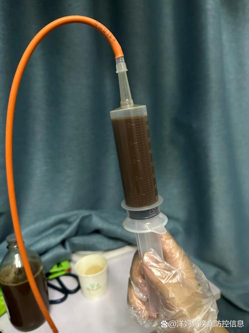 壶腹部盘绕试管