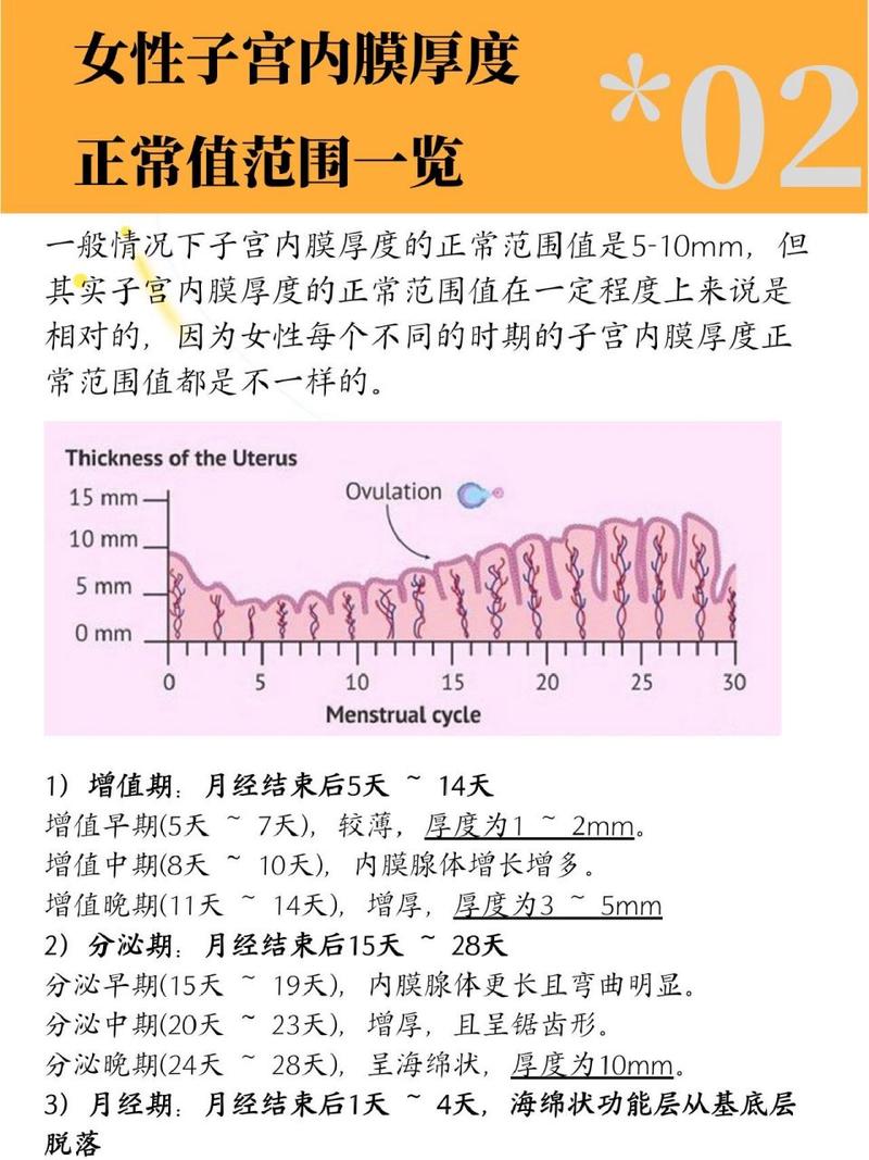 内膜监测