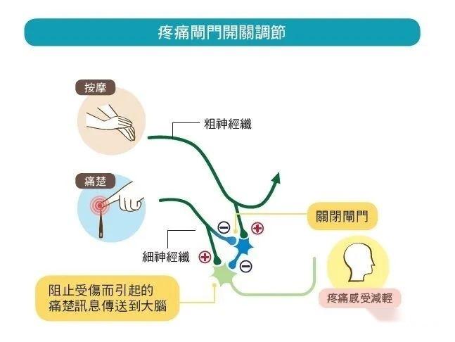 疼痛感知