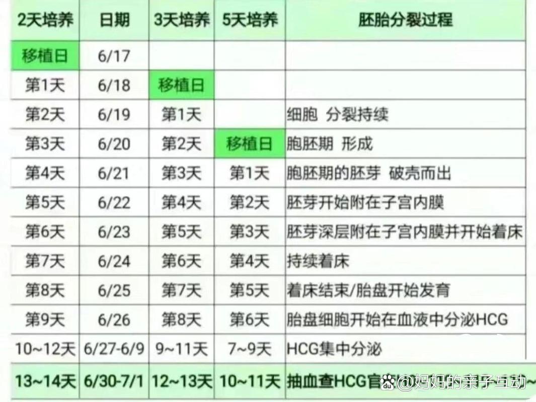 移植时间表