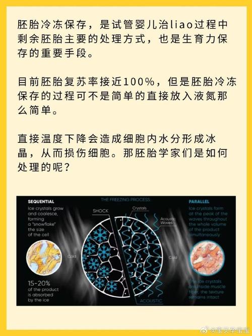胚胎保存注意事项