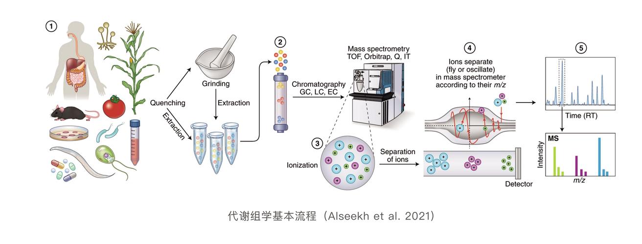 代谢组学