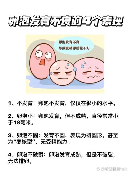 卵泡不成长