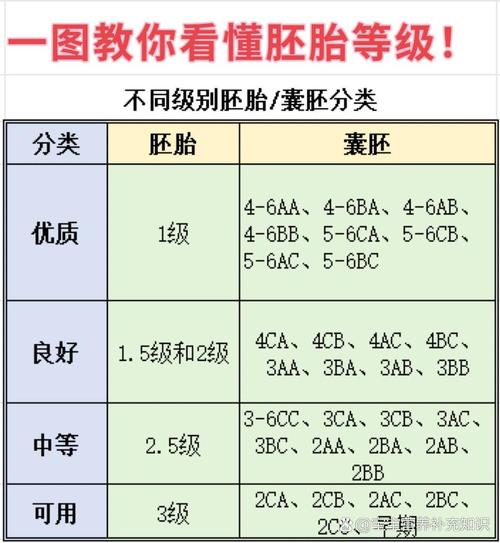 试管胚胎等级