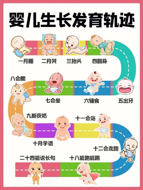 宝宝发展