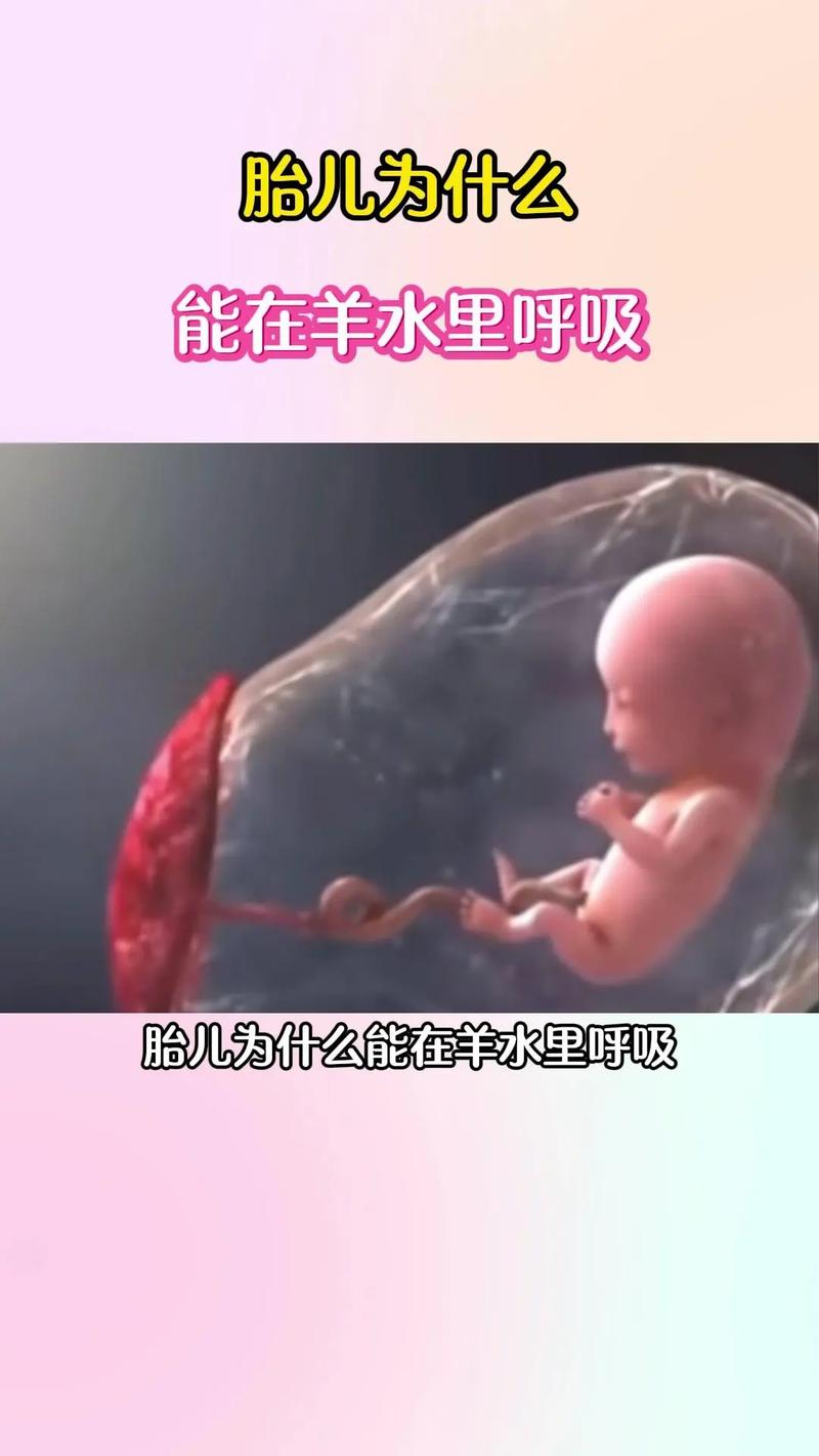 胎盘羊水