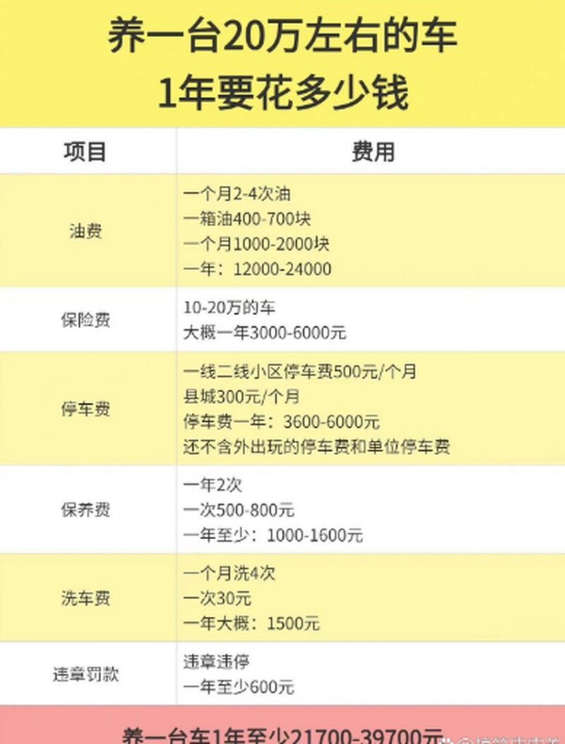 20万元花费