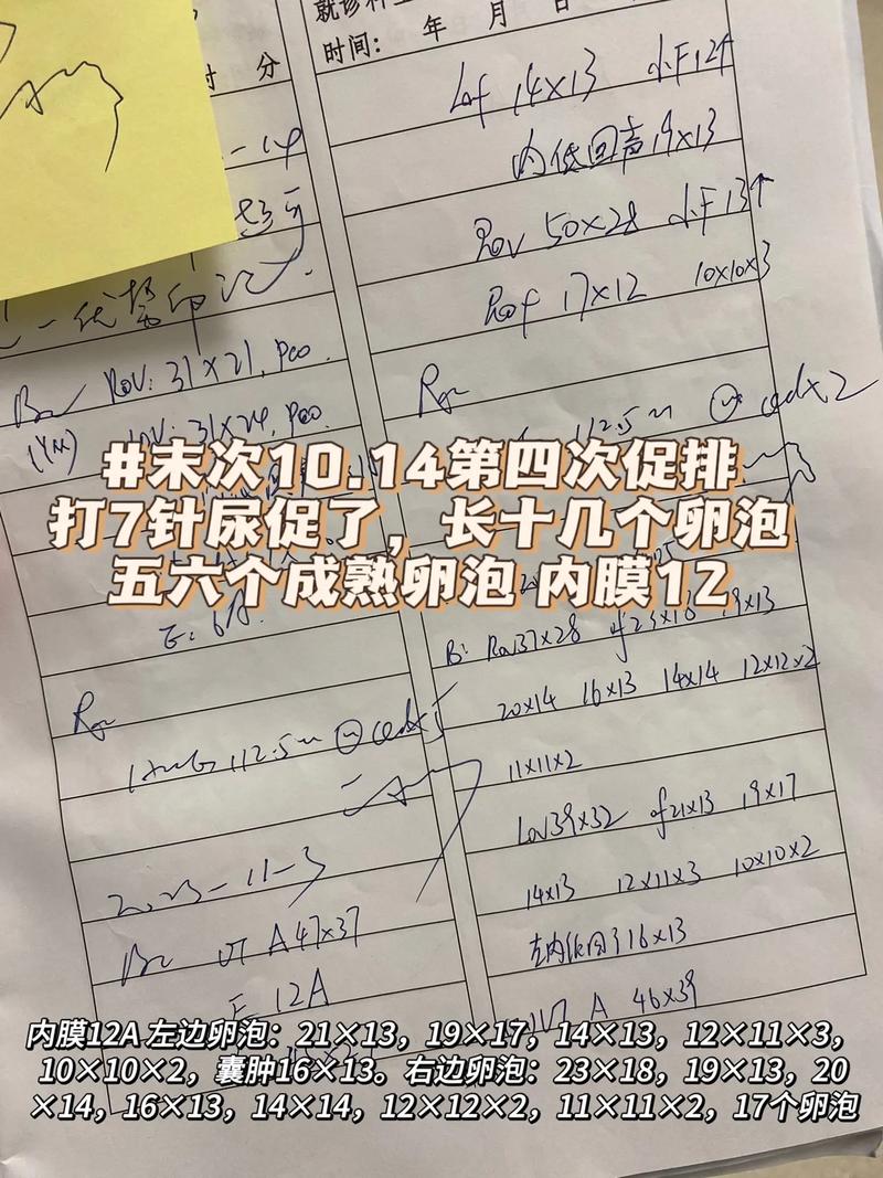 四次促排