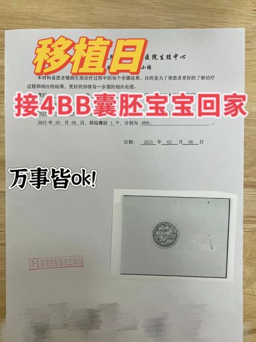 试管婴儿成果