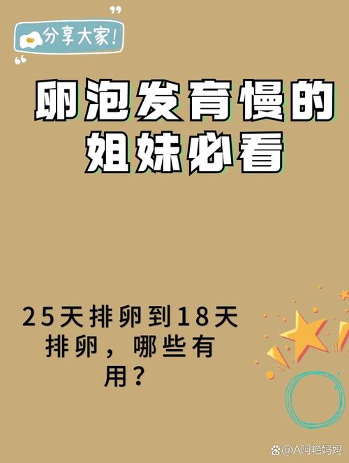 卵泡发育缓慢