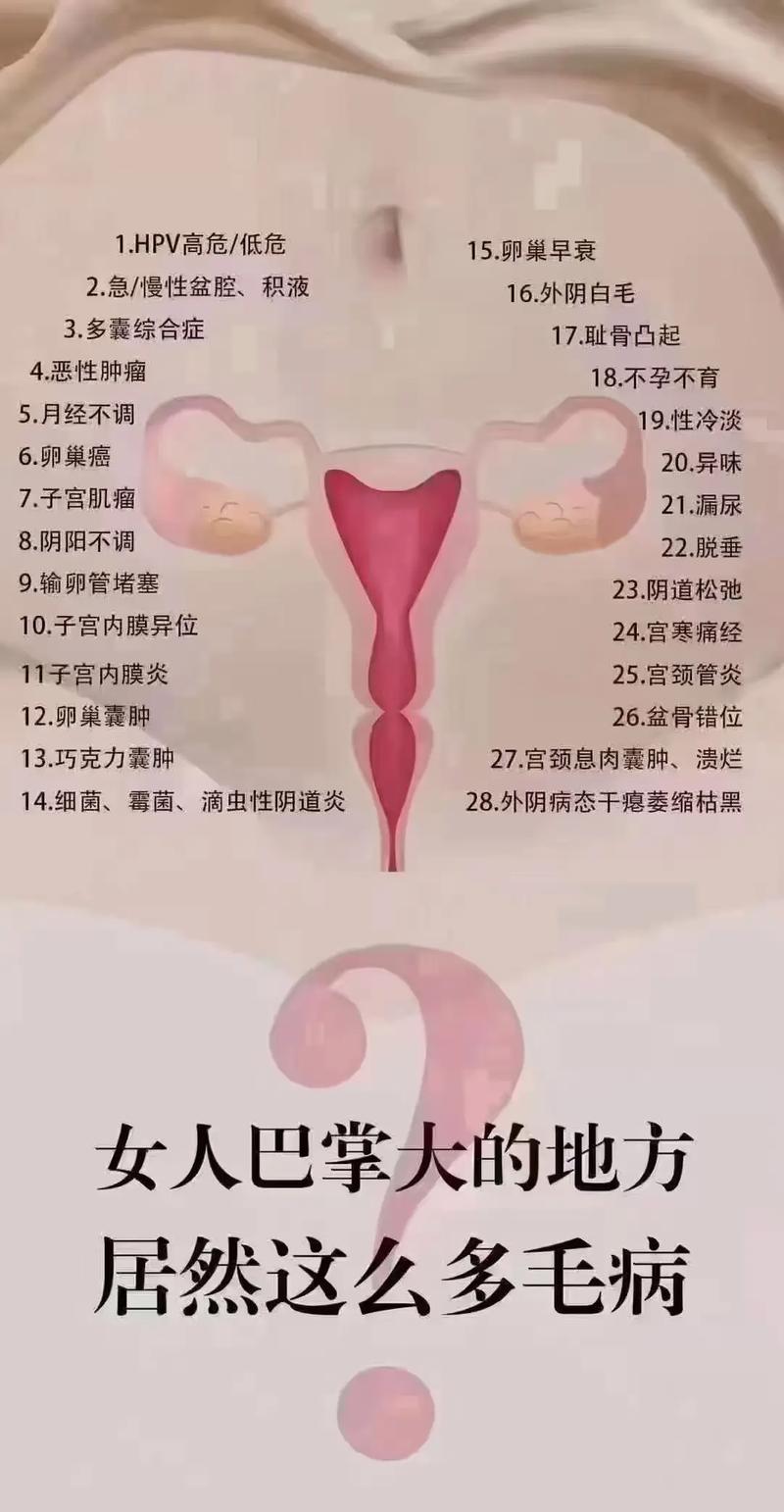 子宫环境因素