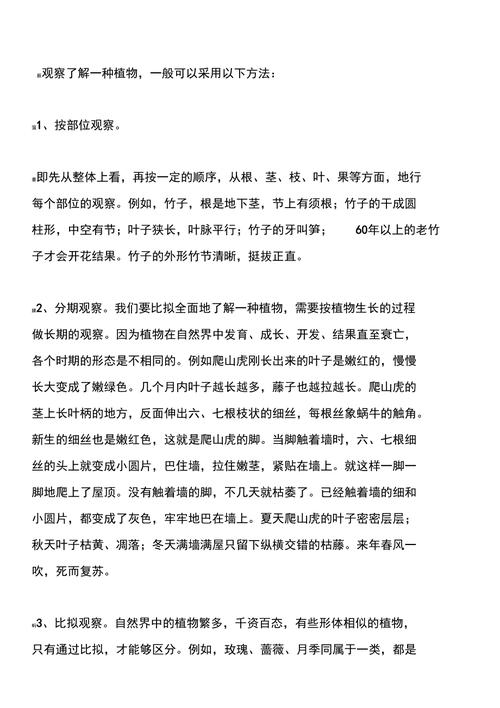 观察技巧