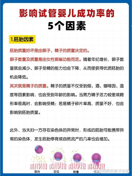 影响试管婴儿成功率因素