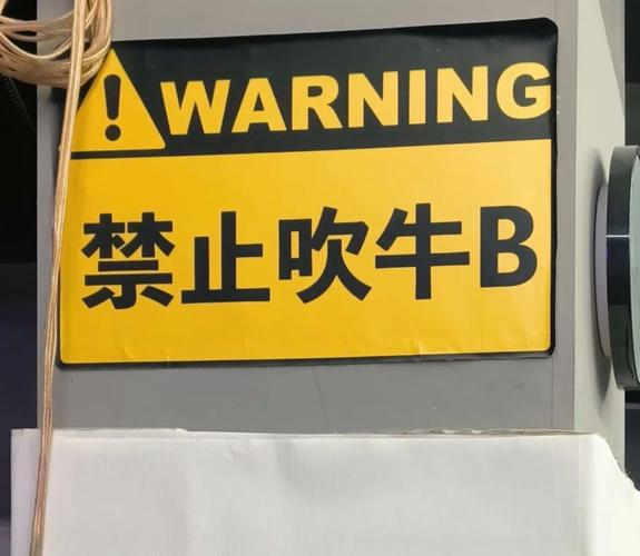 盲目吹嘘