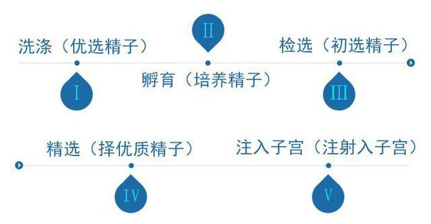  借精子流程