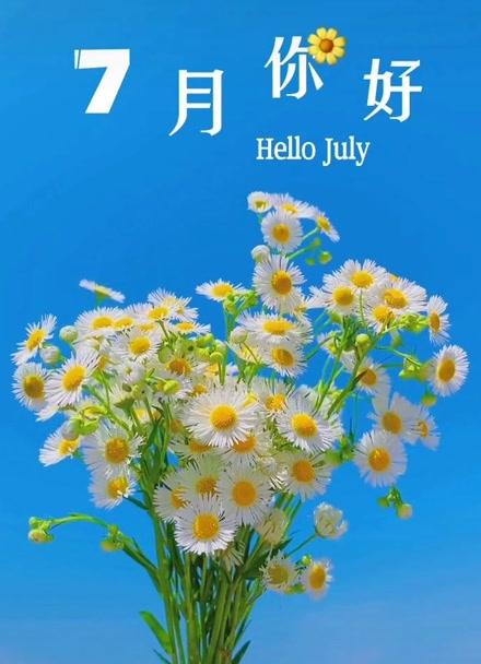 七月