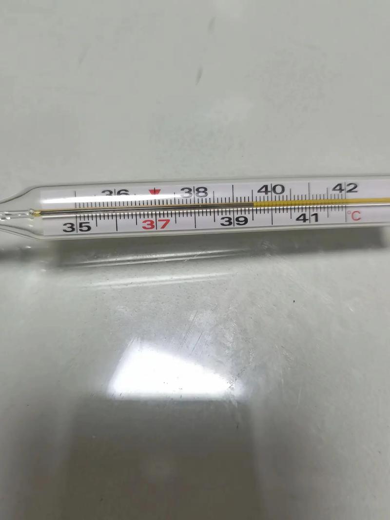  体温