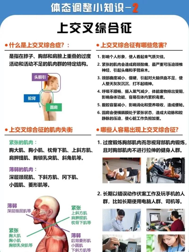 科学调整