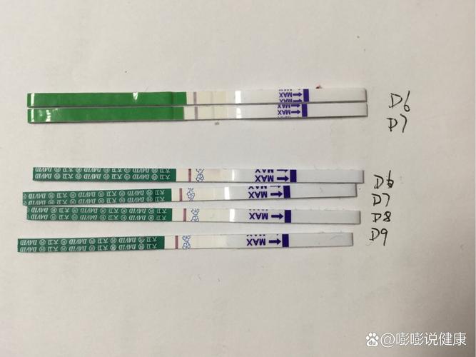 移植十一天