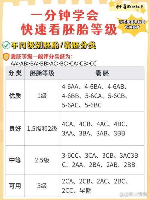 胚胎质量四级标准